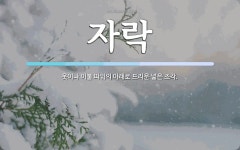 자락 뜻: 옷이나 이불 따위의 아래로 드리운 넓은 조각.