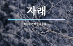 자래 뜻: 쌍으로 된 생선의 알상자.