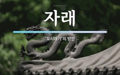 자래 뜻: ‘꼬시래기’의 방언
