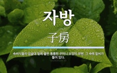 자방 뜻: 속씨식물의 암술대 밑에 붙은 통통한 주머니 모양의 부분. 그 속에 밑씨가 들어 있다.