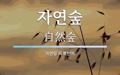 자연숲 뜻: ‘자연림’의 북한어.