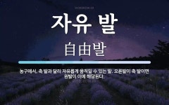자유 발 뜻: 농구에서, 축 발과 달리 자유롭게 움직일 수 있는 발. 오른발이 축 발이면 왼발이 이에 해