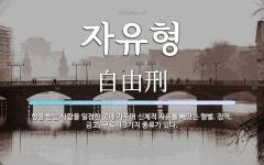 자유형 뜻: 형을 받는 사람을 일정한 곳에 가두어 신체적 자유를 빼앗는 형벌. 징역, 금고, 구류의 3