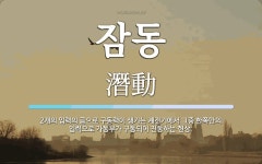 잠동 뜻: 2개의 입력의 곱으로 구동력이 생기는 계전기에서 그중... 구동되어 잠동 뜻: 2개의 입력의 곱으로 구동력이 생기는 계전기에서 그중... 
