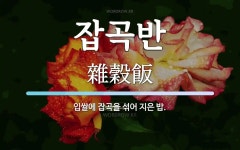 사북잡곡작목반 | 잡곡반 뜻: 입쌀에 잡곡을 섞어 지은 밥.