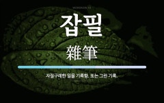 잡필 뜻: 자질구레한 일을 기록함. 또는 그런 기록.