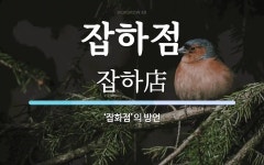 잡하점 뜻: ‘잡화점’의 방언