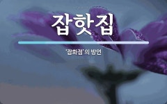 잡핫집 뜻: ‘잡화점’의 방언