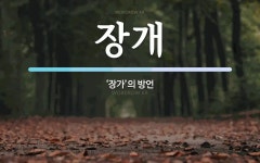 장개 뜻: ‘장가’의 방언