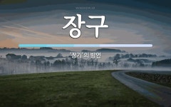 장구 뜻: ‘장기’의 방언