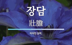 장담 뜻: 씩씩한 담력.