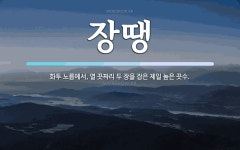 장땡 뜻: 화투 노름에서, 열 끗짜리 두 장을 잡은 제일 높은 끗수.