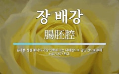 장 배강 뜻: 원시장. 동물 배아의 가장 안쪽에 있는 내배엽으로 덮인 관으로 후에 소화기계가 된다.