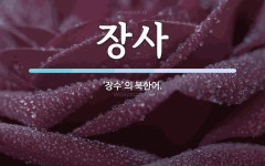 장사 뜻: ‘장수’의 북한어.