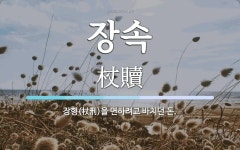 장속 뜻: 장형(杖刑)을 면하려고 바치던 돈.