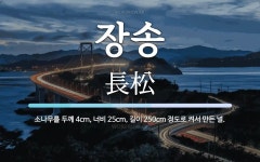 장송 뜻: 소나무를 두께 4cm, 너비 25cm, 길이 250cm 정도로 켜서 만든 널.