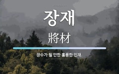 장재 뜻: 장수가 될 만한 훌륭한 인재.
