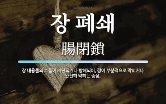 장 폐쇄 뜻: 장 내용물의 흐름이 차단되거나 방해되어, 장이 부분적으로 막히거나 완전히 막히는 증상.