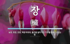 장 뜻: 농장, 옷장, 찬장, 책장 따위의, 물건을 넣어 두는 가구를 통틀어 이르는 말.