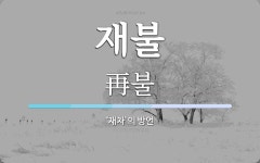 재불 뜻: ‘재차’의 방언