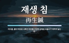 재생 침 뜻: 여드름, 흉터 따위로 나빠진 피부를 건강한 상태로 되돌리기 위하여 놓는 침.