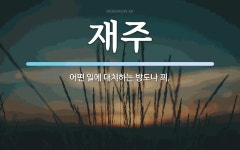 재주 뜻: 어떤 일에 대처하는 방도나 꾀.