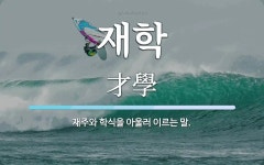 재학 뜻: 재주와 학식을 아울러 이르는 말.