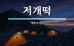 저개떡 뜻: ‘개떡’의 방언