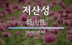 저산성 뜻: 산이 아주 낮은 특성.