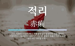 적리 뜻: 급성 전염병인 이질의 하나. 여름철에 많이 발생하며, 입을 통하여 전염하여 2~3일 동안의