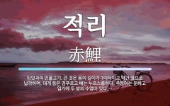 적리 뜻: 잉엇과의 민물고기. 큰 것은 몸의 길이가 1미터이고 약간 옆으로 납작하며, 대개 등은 검푸