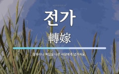 전가 뜻: 잘못이나 책임을 다른 사람에게 넘겨씌움.