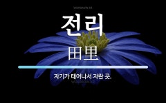 전리 뜻: 자기가 태어나서 자란 곳.