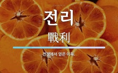 전리 뜻: 전쟁에서 얻은 이득.