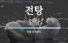전탕 뜻: ‘온통’의 북한어.