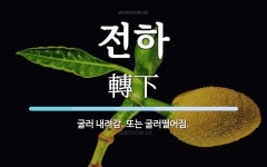 전하 뜻: 굴러 내려감. 또는 굴러떨어짐.