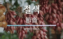 절색 뜻: ‘절색하다’의 어근.