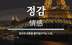 정감 뜻: 정조와 감흥을 불러일으키는 느낌.