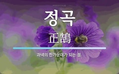 정곡 뜻: 과녁의 한가운데가 되는 점.