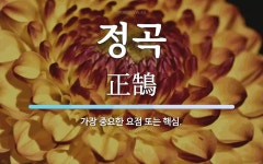 정곡 뜻: 가장 중요한 요점 또는 핵심.