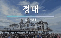 정대 뜻: ‘정’의 북한어.