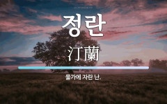 정란 뜻: 물가에 자란 난.