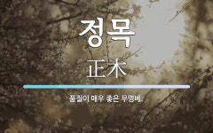 정목 뜻: 품질이 매우 좋은 무명베.