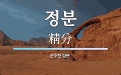 정분 뜻: 순수한 성분.
