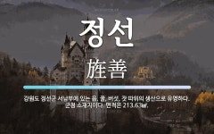 정선 뜻: 강원도 정선군 서남부에 있는 읍. 꿀, 버섯, 잣 따위의 생산으로 유명하다. 군청 소재지이