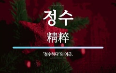 정수 뜻: ‘정수하다’의 어근.