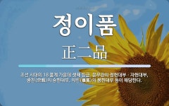 정이품 뜻: 조선 시대의 18 품계 가운데 셋째 등급. 문무관의 정헌대부ㆍ자헌대부, 종친(宗親)의 승헌