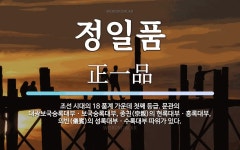 정일품 뜻: 조선 시대의 18 품계 가운데 첫째 등급. 문관의 대광보국숭록대부ㆍ보국숭록대부, 종친(宗親
