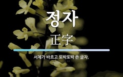 정자 뜻: 서체가 바르고 또박또박 쓴 글자.