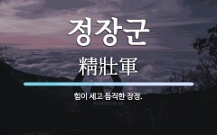 정장군 뜻: 힘이 세고 듬직한 장정.